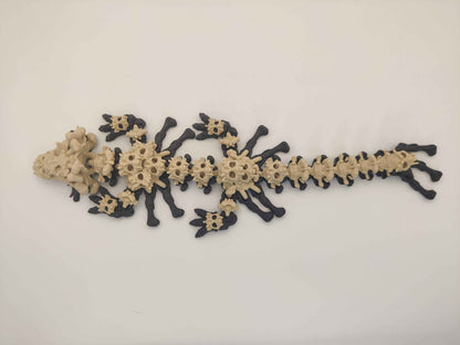 Baby Skull Dragon Figure - ToyForge 3D