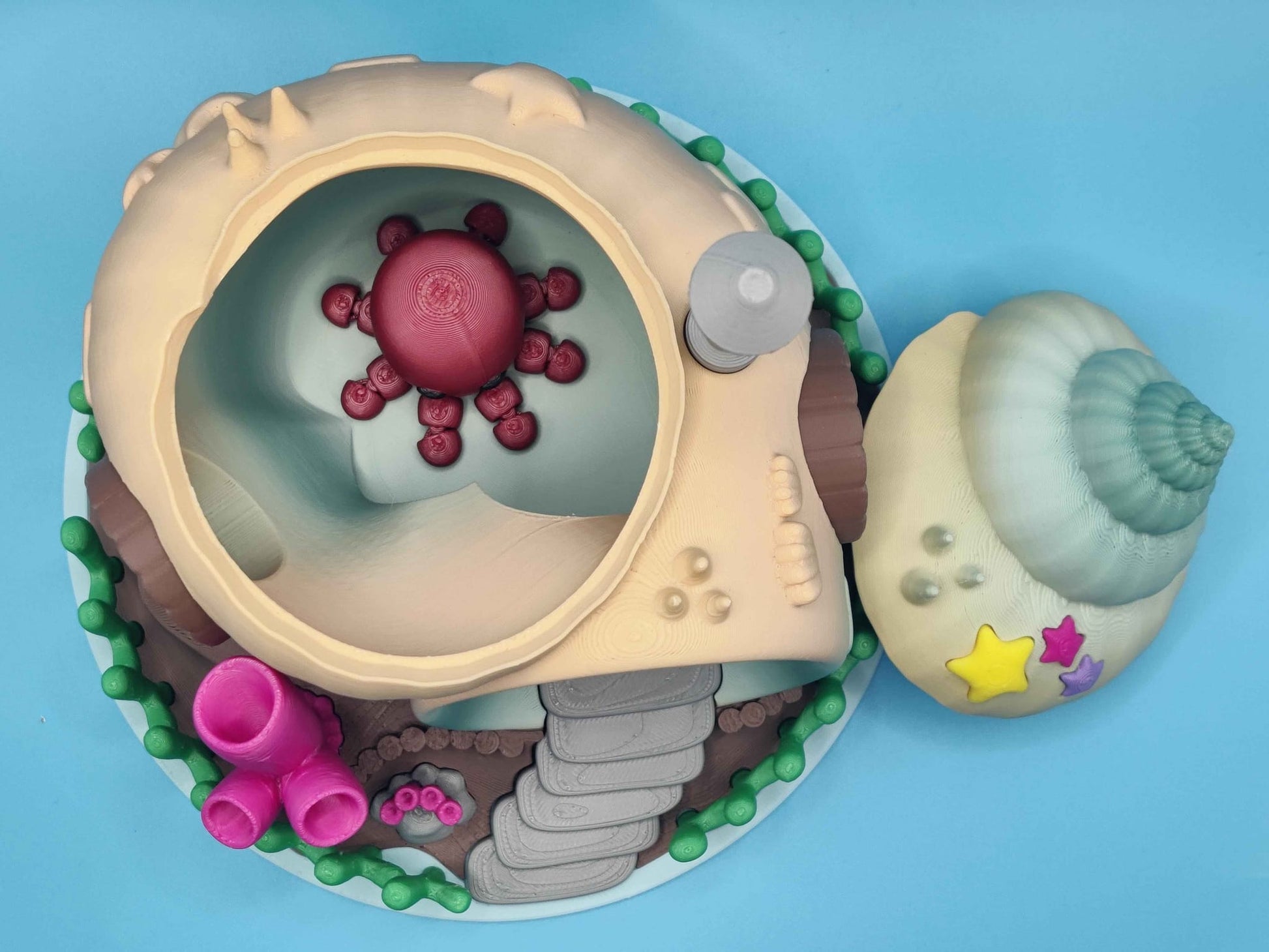 Seashell House Ocean Playset with Octopus - ToyForge 3D
